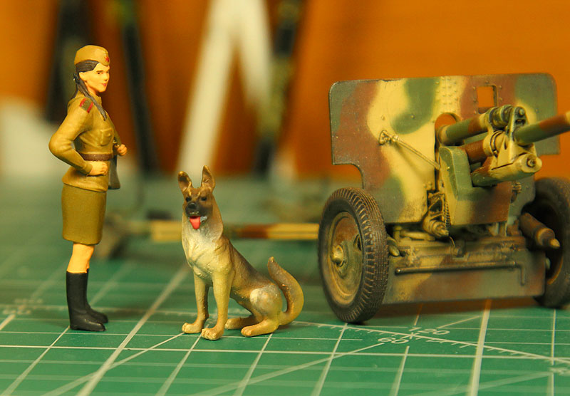 собака 1:43